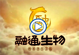 &#33521;&#30343;&#20307;&#32946;&#40;&#20013;&#22269;&#41;&#20307;&#32946;&#23448;&#26041;&#32593;&#31449;
